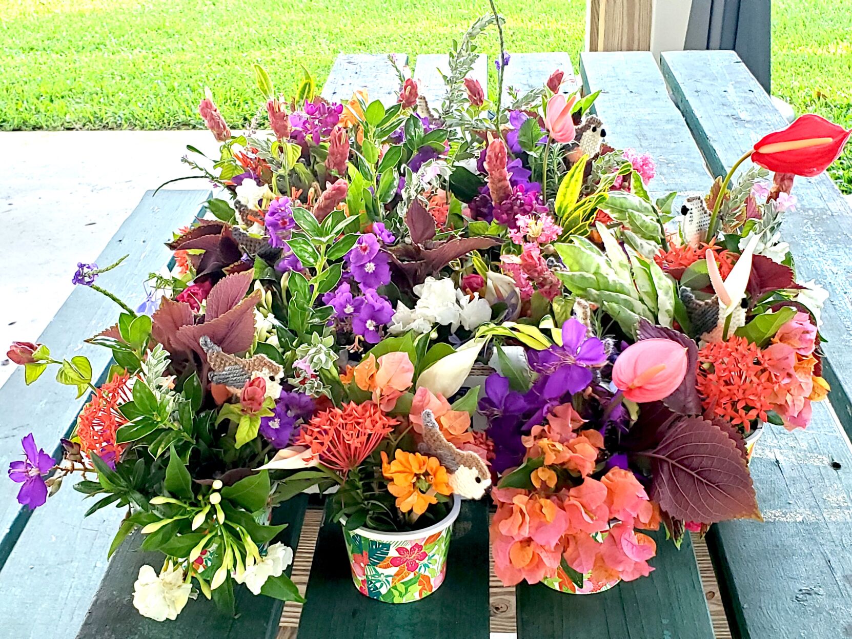 LP Garden Club Garden Therapy B